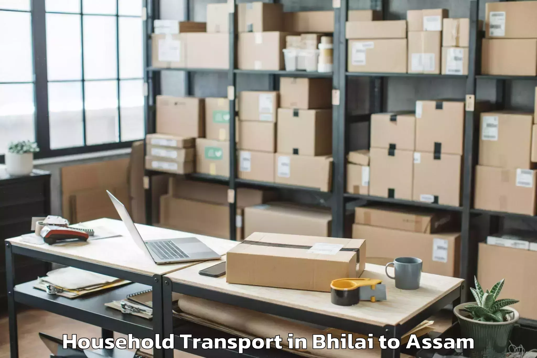 Affordable Bhilai to Khumtai Household Transport